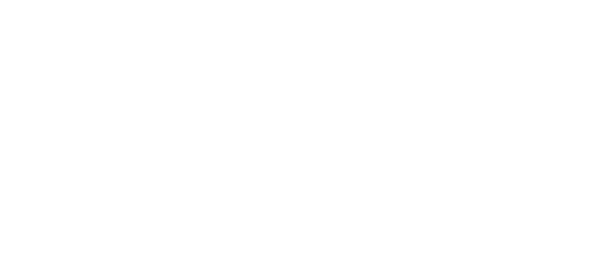 Itinesia