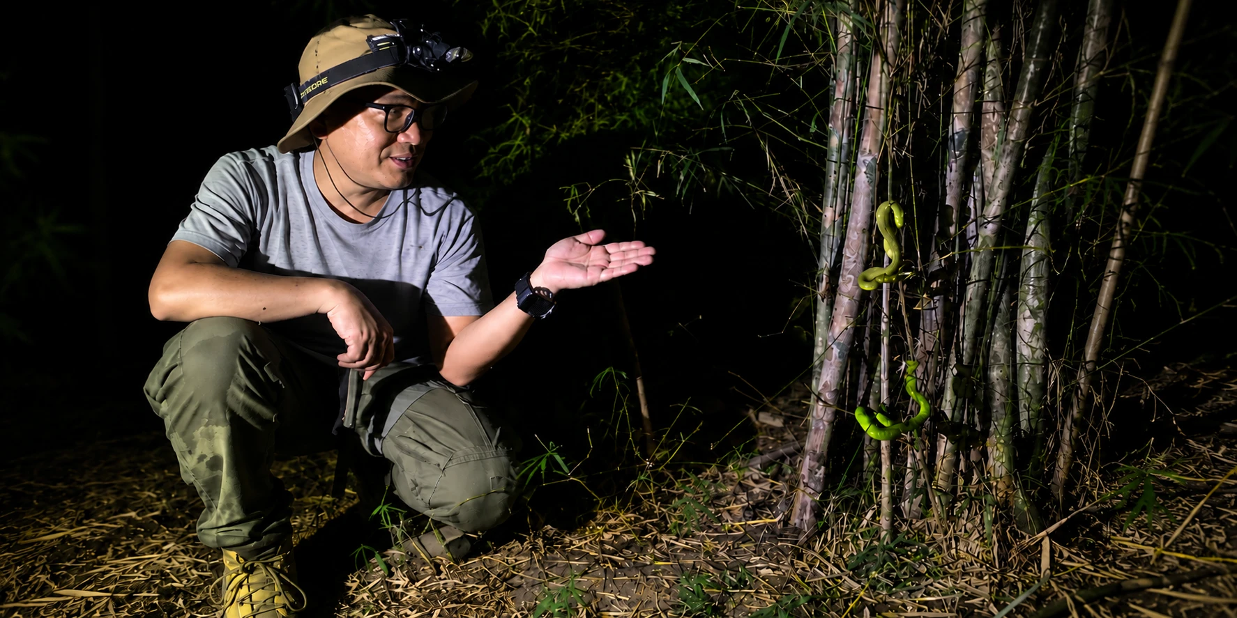 Guided night wildlife spotting experience